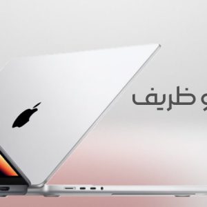 دیک